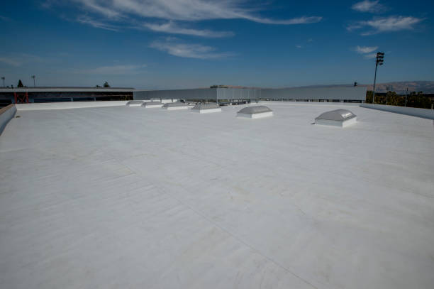 Best Rubber Roofing (EPDM, TPO)  in Citronelle, AL
