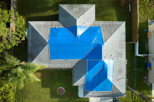 Best Skylight Installation and Repair  in Citronelle, AL
