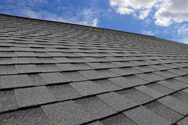 Best Gutter Installation and Repair  in Citronelle, AL